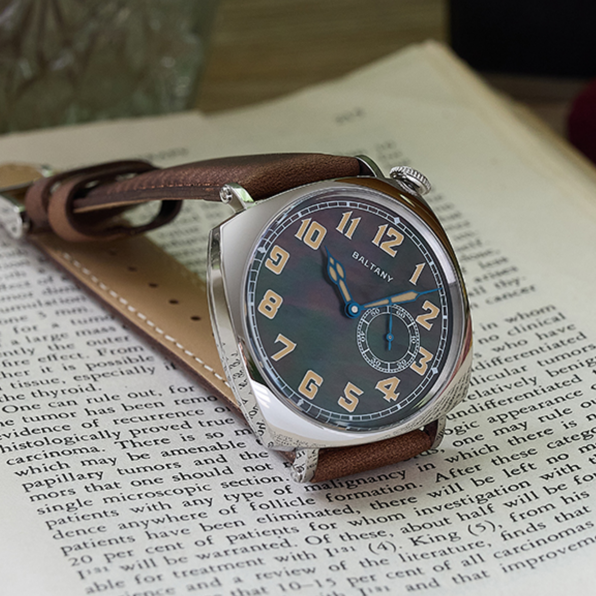 Baltany S4071A Luxury Mens with automatic Seagull ST-1701 movement