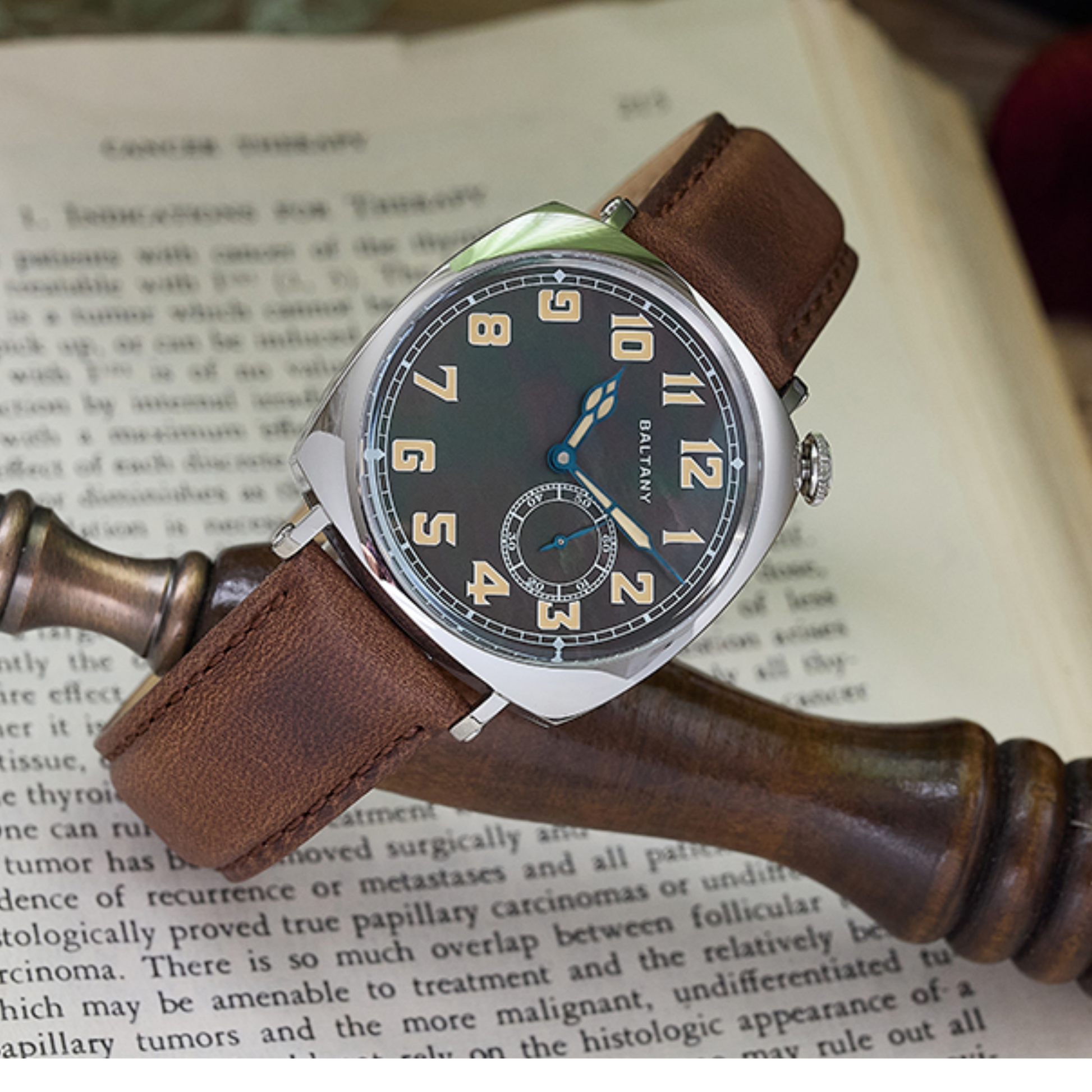 Baltany S4071A Luxury Mens with automatic Seagull ST-1701 movement