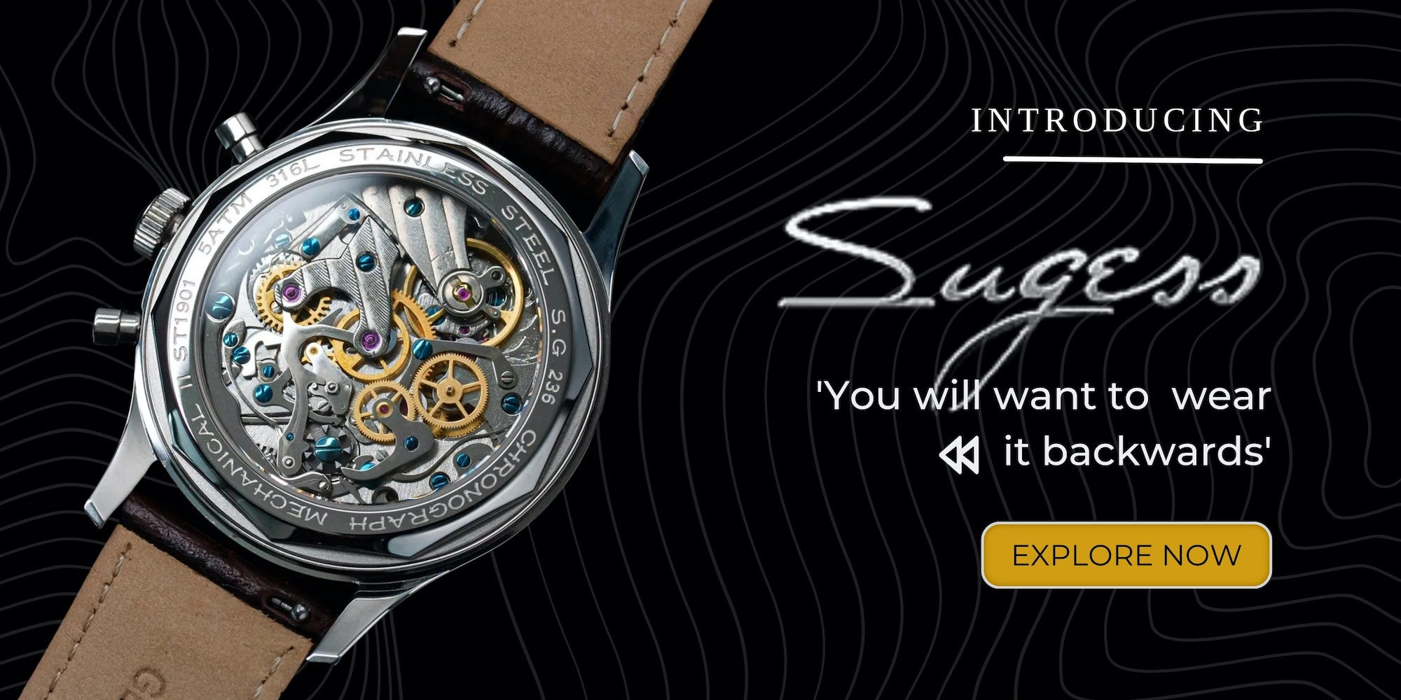 Complicated Watches | Complicated Tourbillon | Sugess Watch