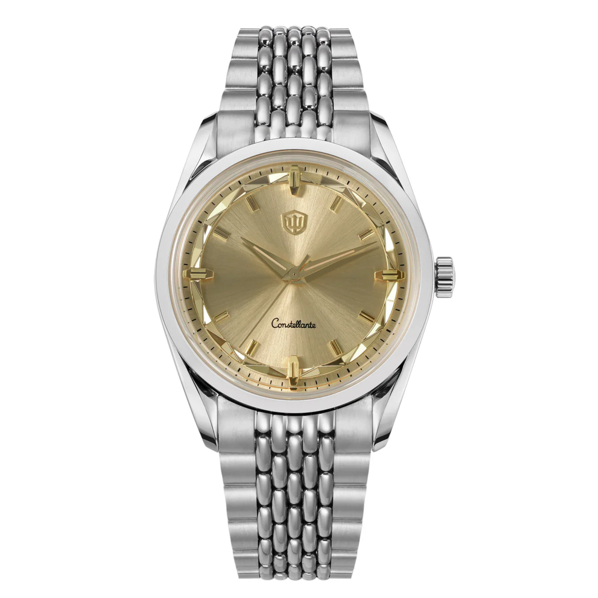 Watchdives WD1954 Arctic Classic 36mm VH31 Watch