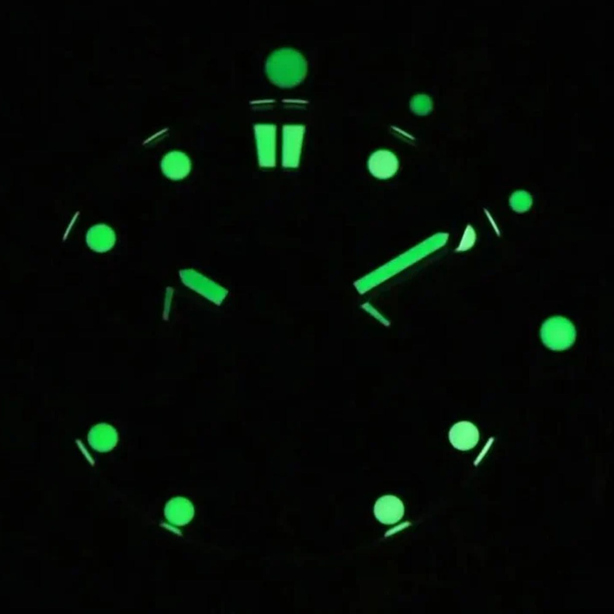 Pagani Design PD-1767 Men's CAL.2C10 Automatic Mechanical Watch 41MM