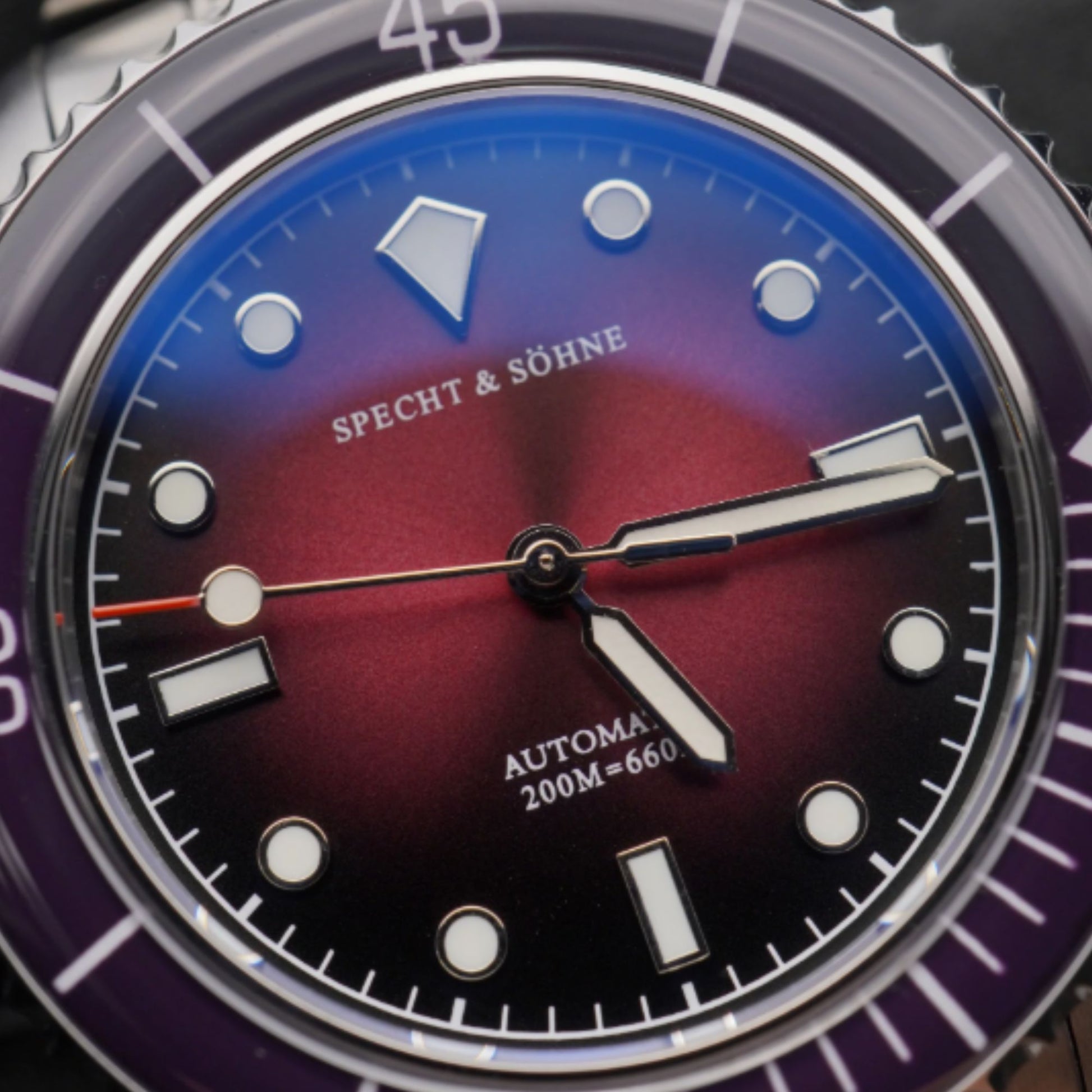 Specht & Sohne Mariner Purple Edition SP2653A3