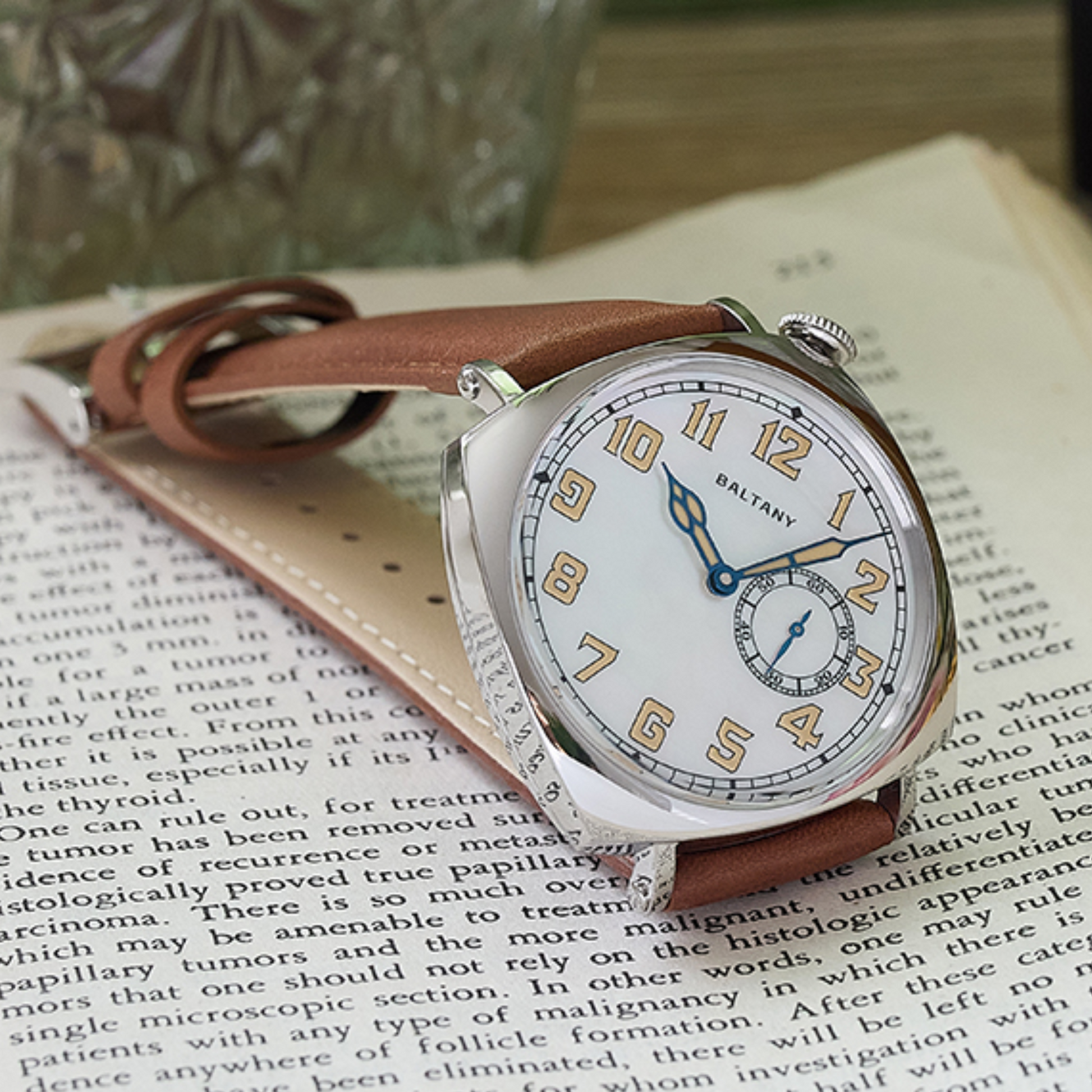 Baltany S4071A Luxury Mens with automatic Seagull ST-1701 movement