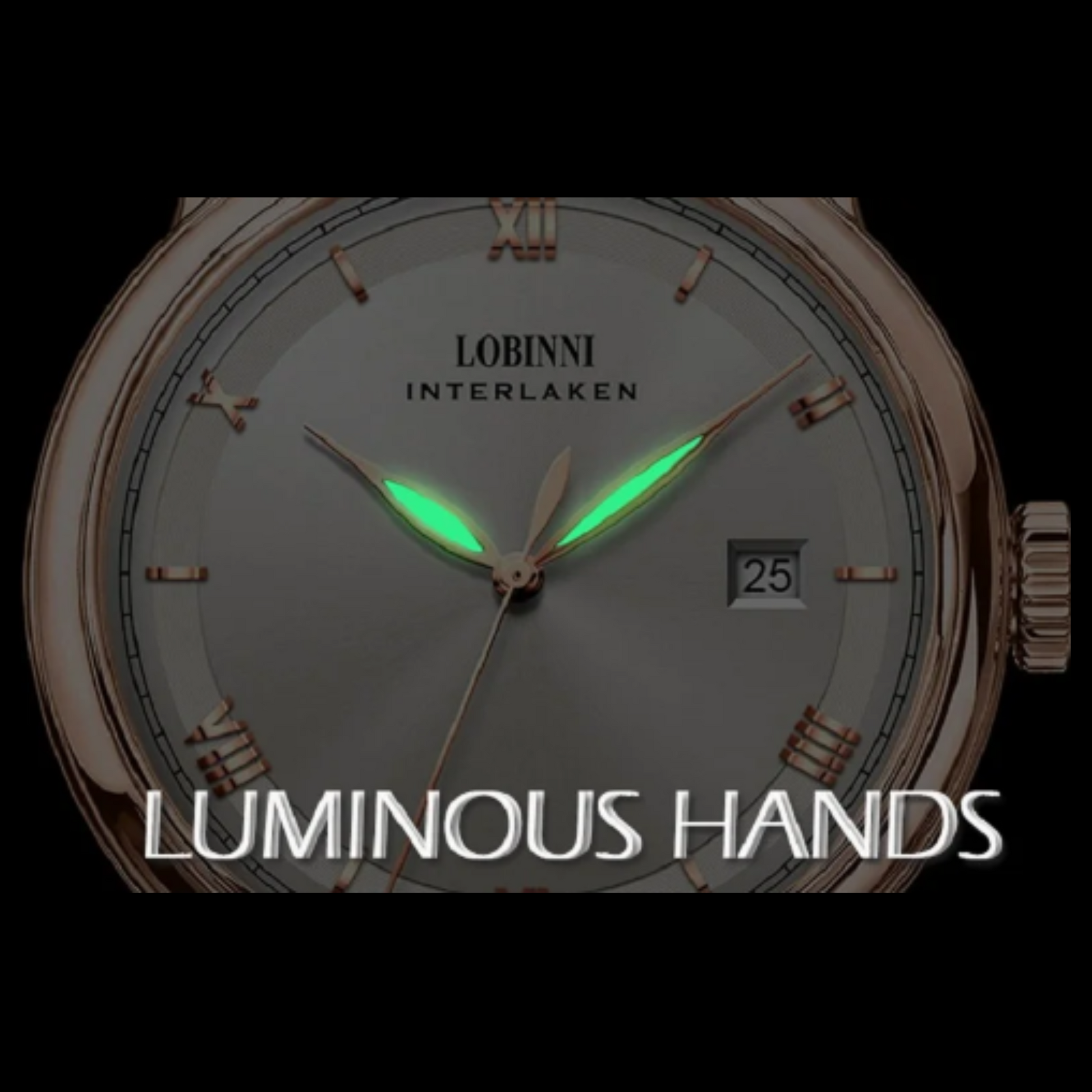 LOBINNI Mens Automatic Stainless Steel Waterproof Luxury Business Mechanical Wristwatch - 14003