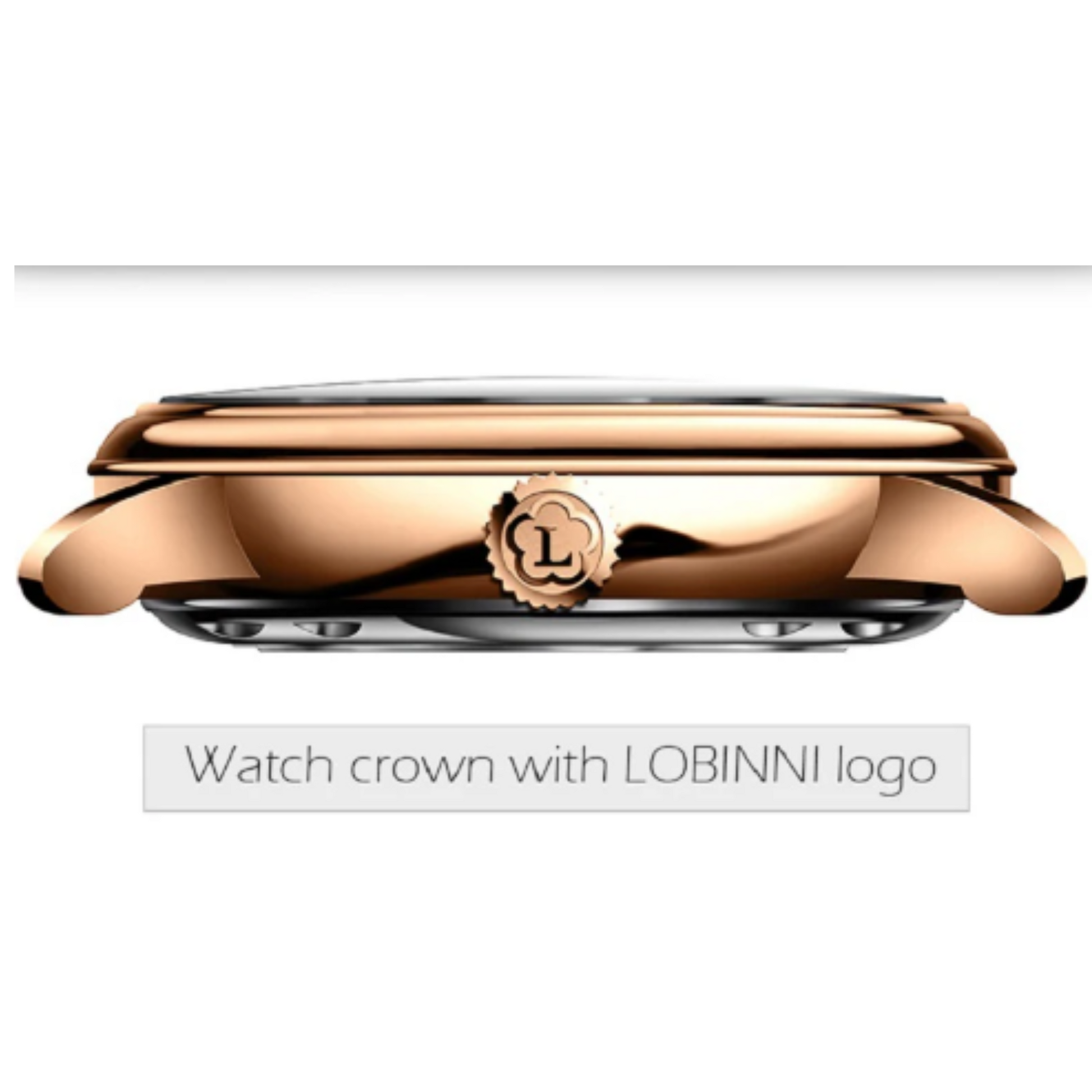 LOBINNI Mens Automatic Stainless Steel Waterproof Luxury Business Mechanical Wristwatch - 14003