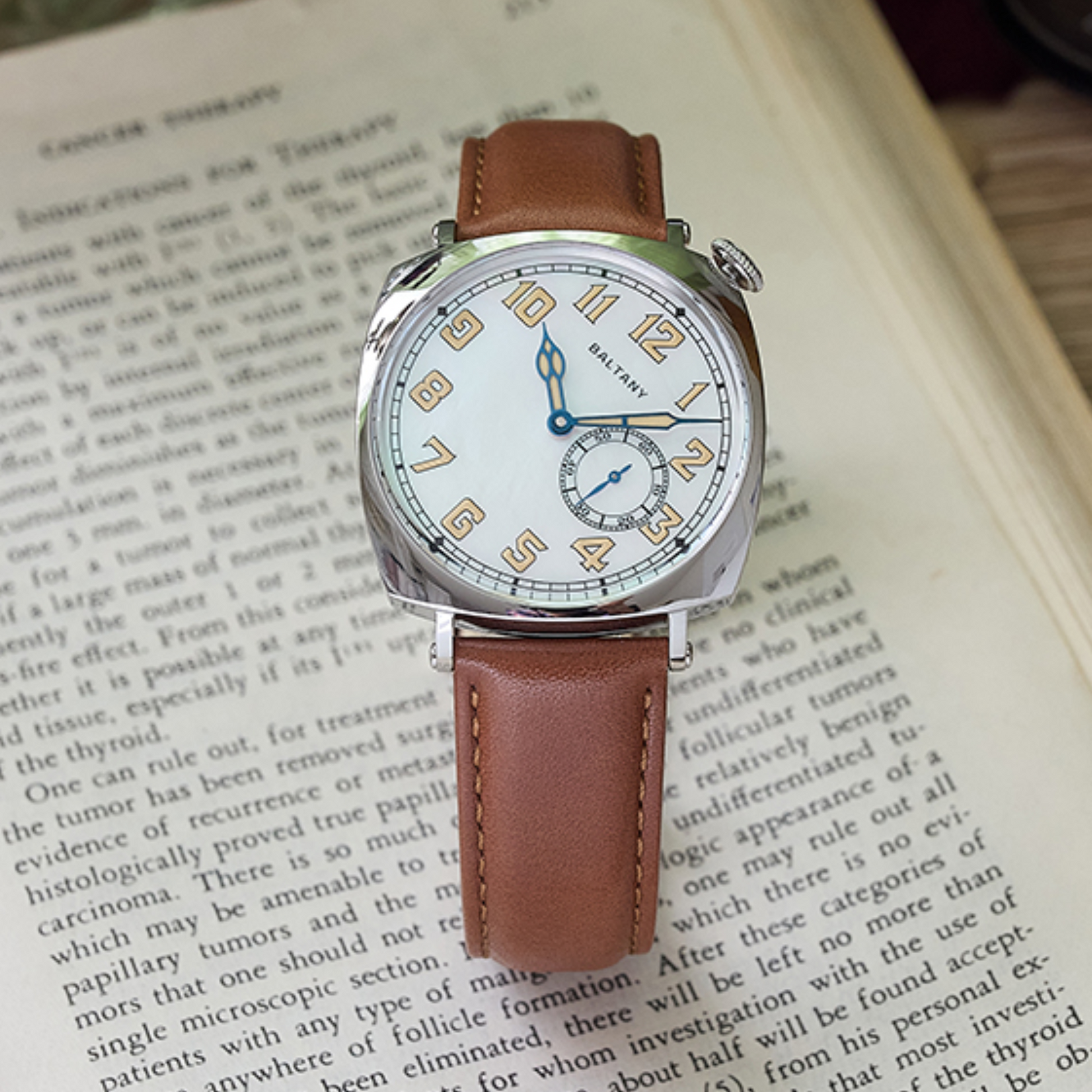 Baltany S4071A Luxury Mens with automatic Seagull ST-1701 movement