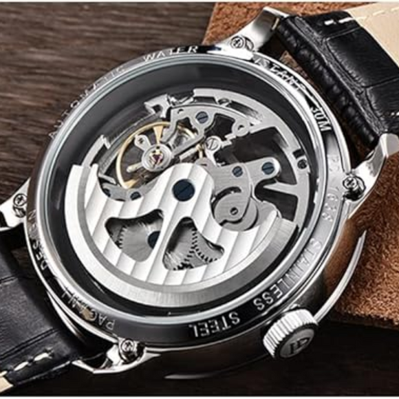 Pagani Design PD-1638 2023 Men's Automatic Skeleton Mechanical Automatic Stainless Steel Watch With Leather Strap Pointer Series 100 Meters Waterproof