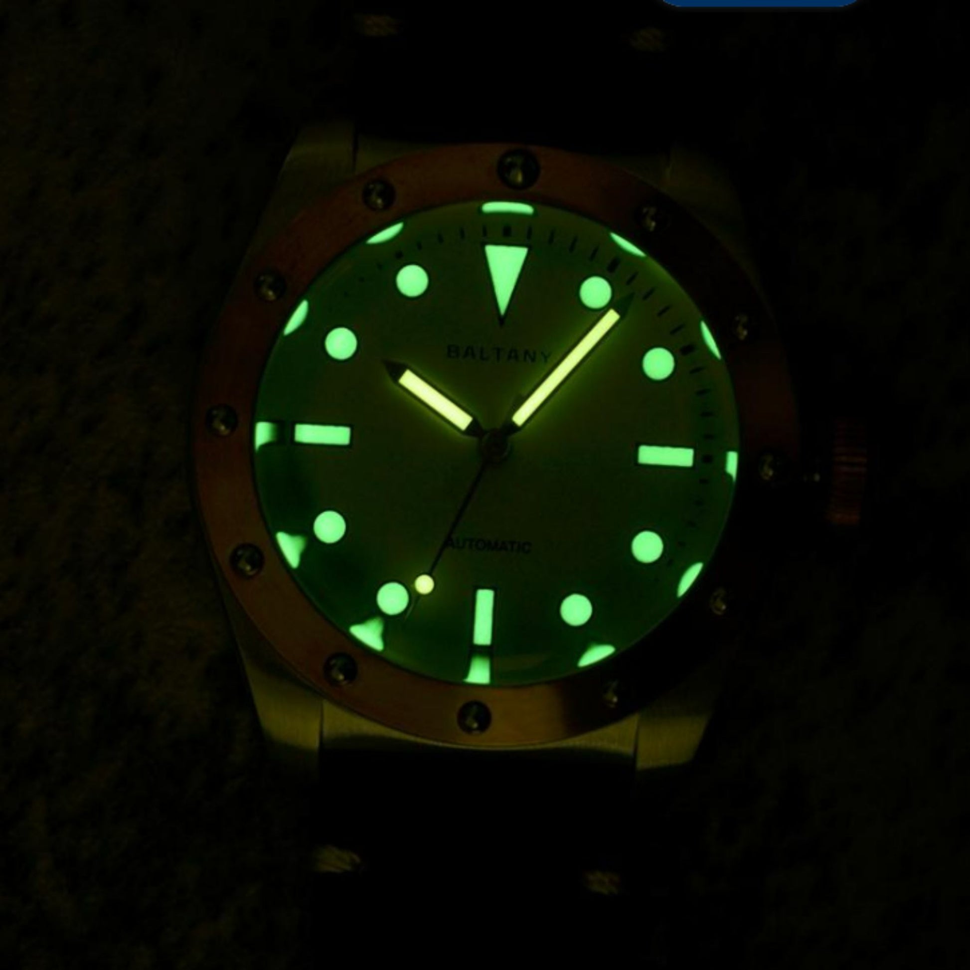 Baltany Design Bronze Bezel Vintage Watch B4030