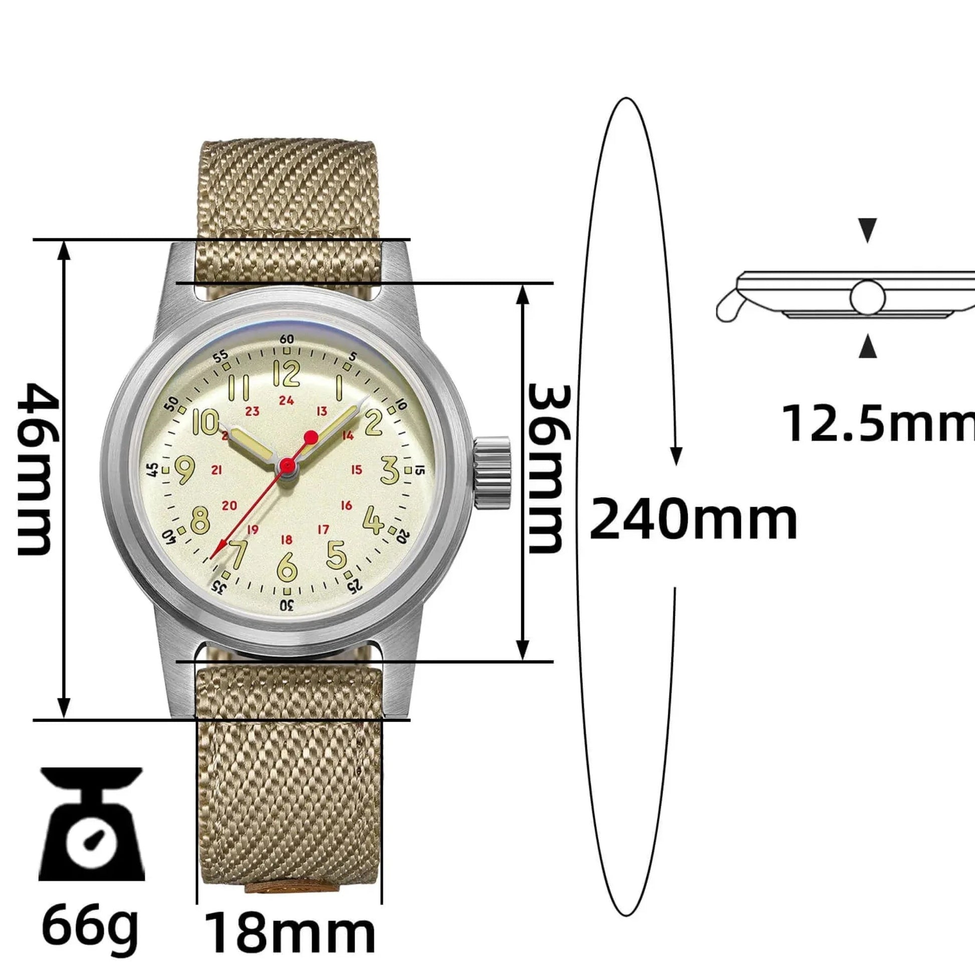 ADDIESDIVE 36mm Vintage Mechanical Watch AD2076 - DREAM WATCHES