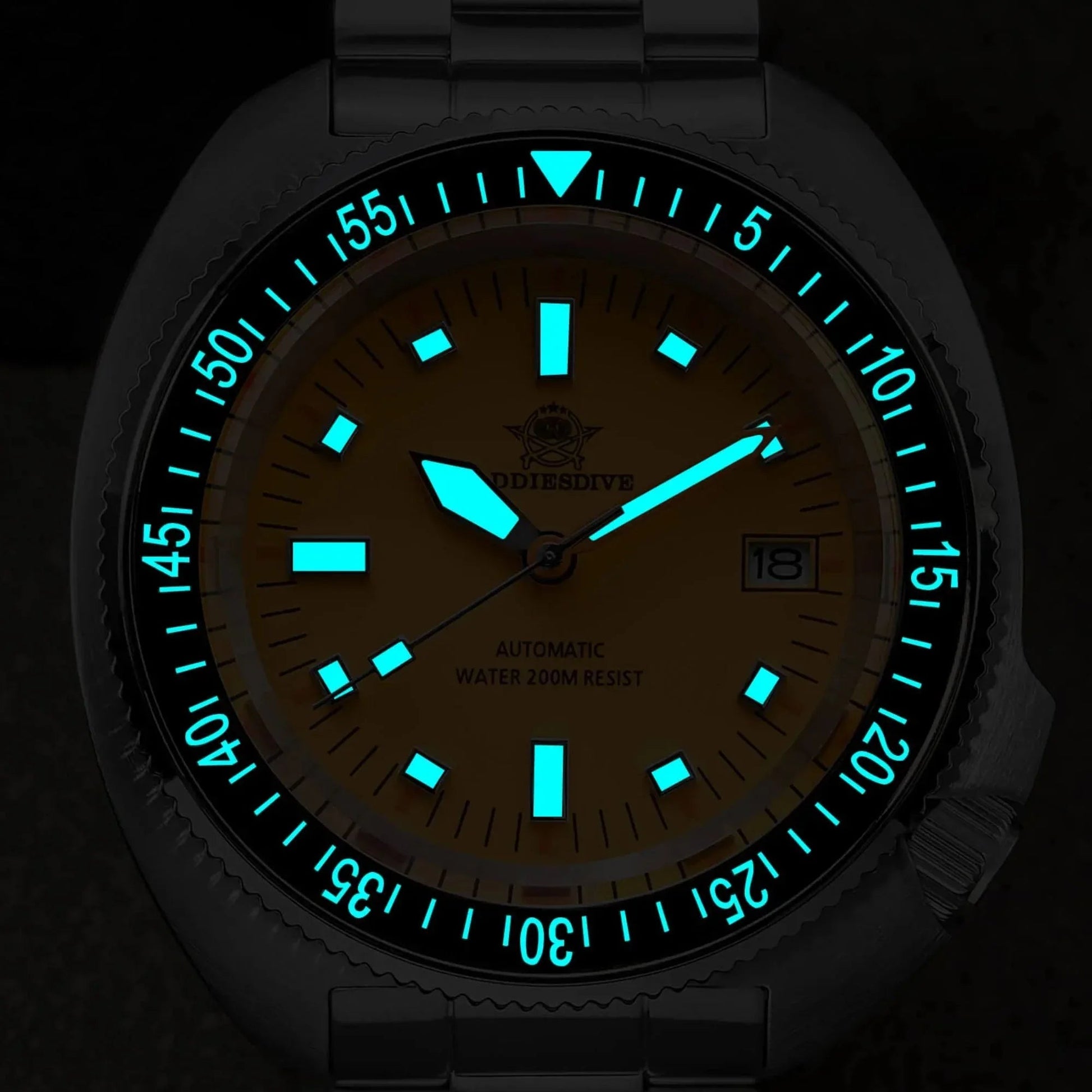 ADDIESDIVE Retro Captain Willard Dive Watch AD2081 - DREAM WATCHES