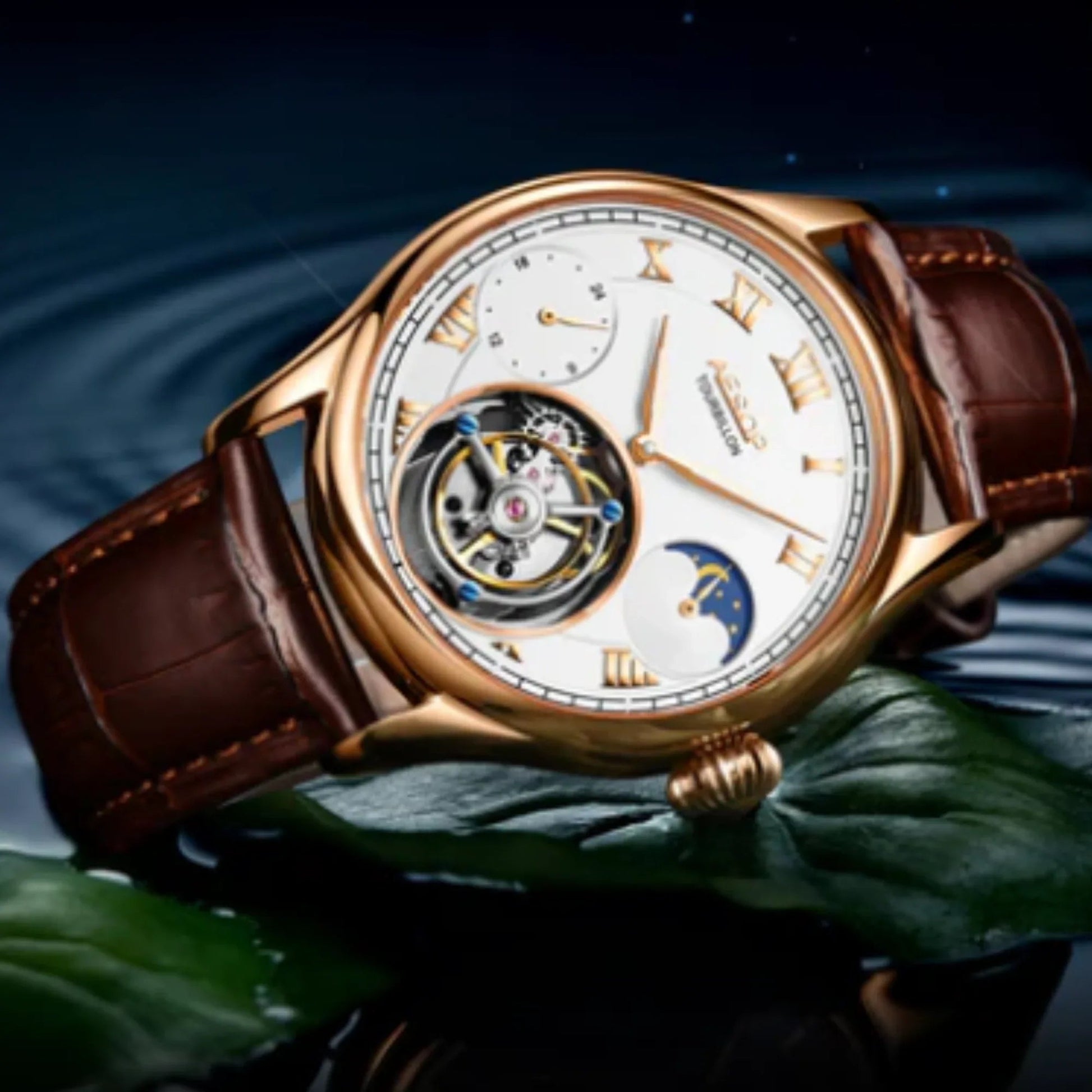 AESOP GMT Multifunction 100% Original Tourbillon 7020 watch - DREAM WATCHES