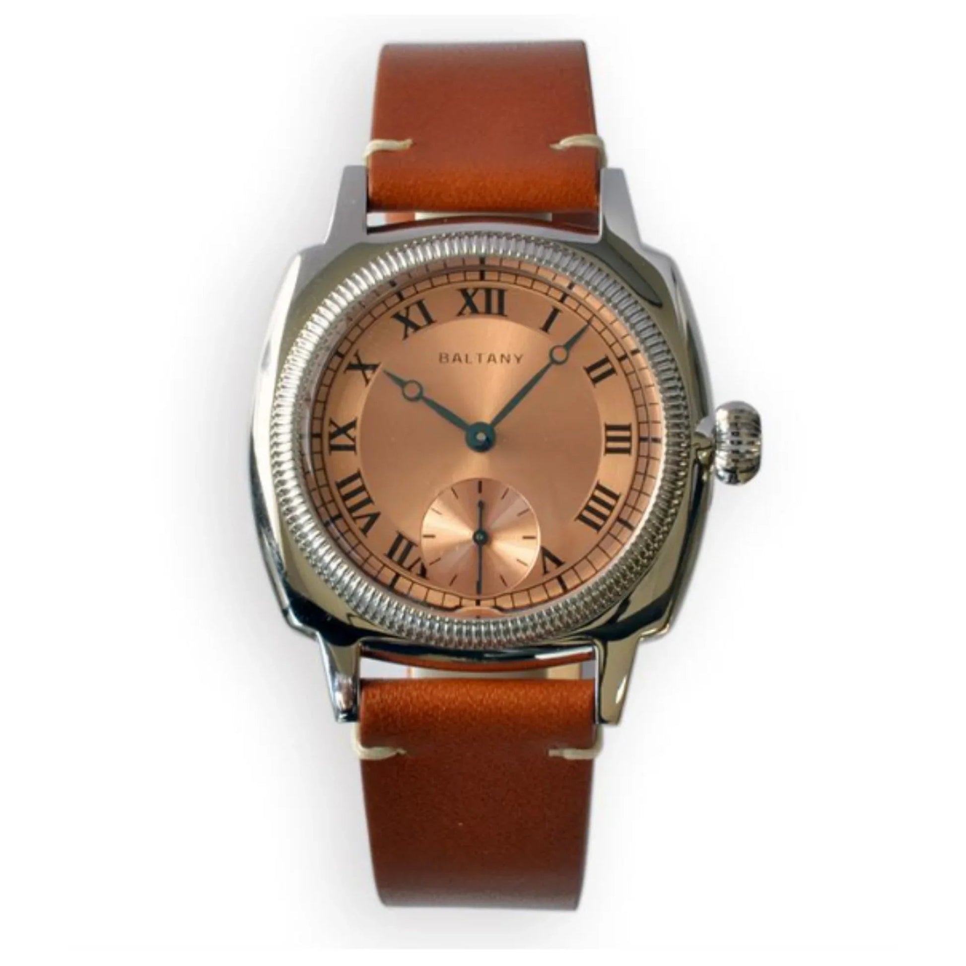 Baltany Salmon Roman Markers Quartz Watches S4037 - DREAM WATCHES