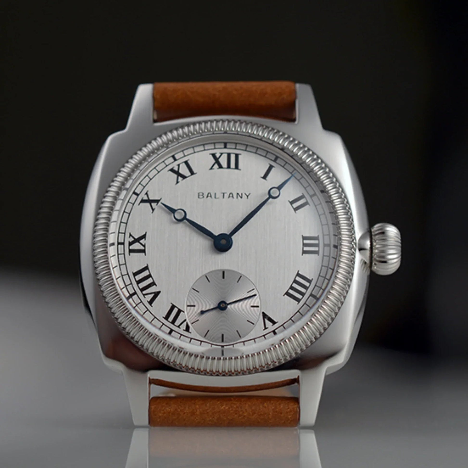 Baltany Salmon Roman Markers Quartz Watches S4037 - DREAM WATCHES