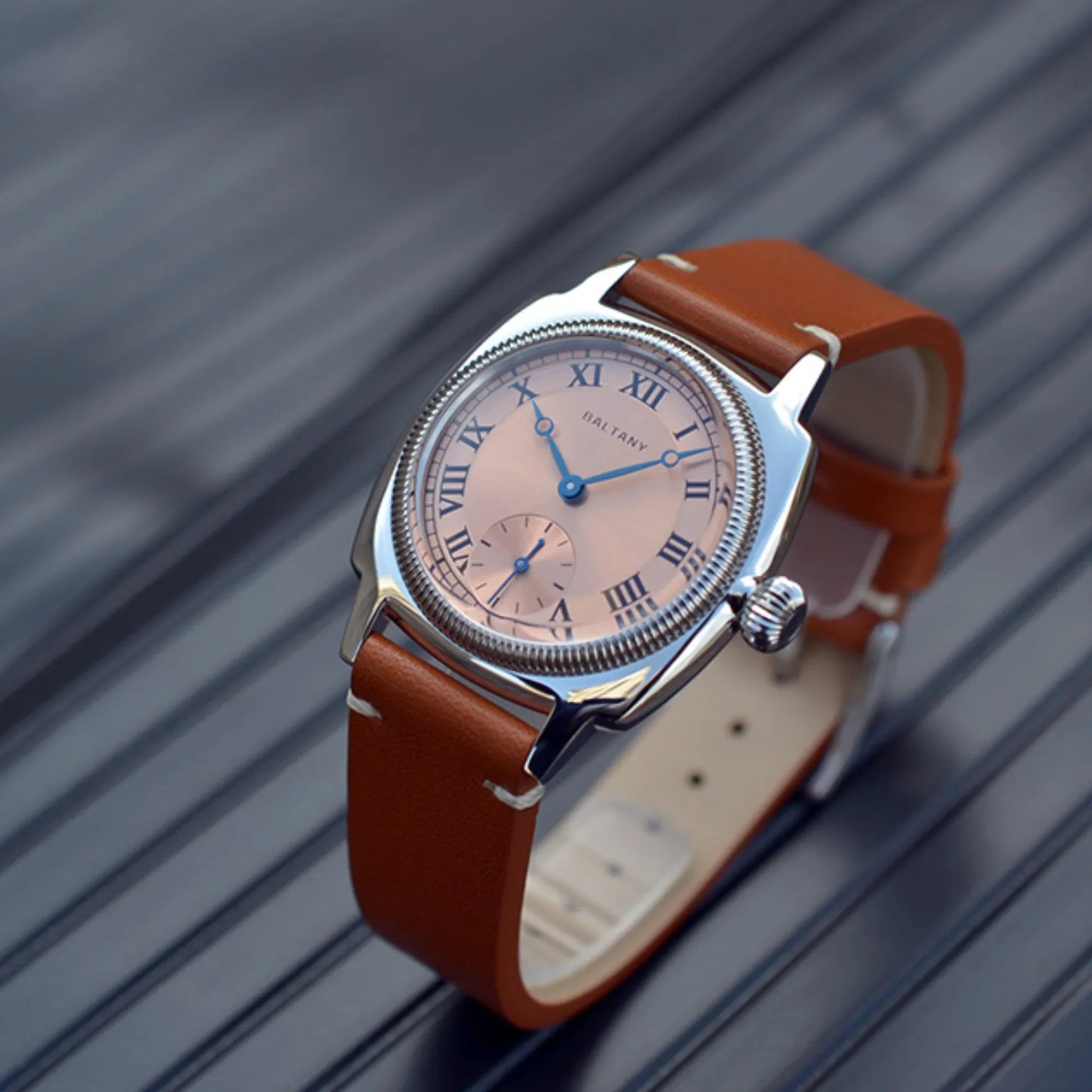 Baltany Salmon Roman Markers Quartz Watches S4037 - DREAM WATCHES
