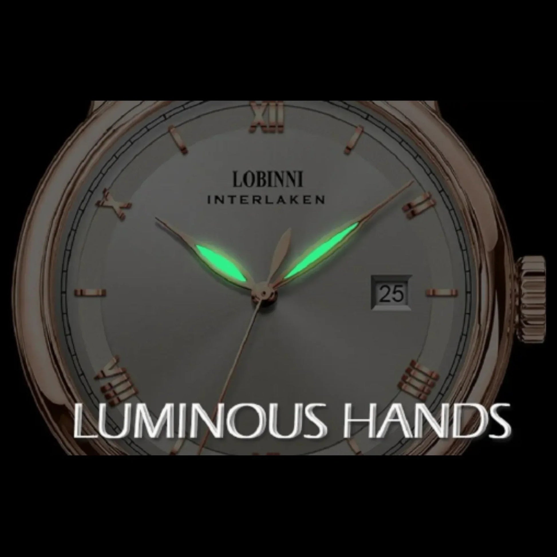 LOBINNI Brand Men Watches Automatic Stainless Steel Waterproof Watch Men Luxury Business Sport Mechanical Wristwatch - 14003 - DREAM WATCHES