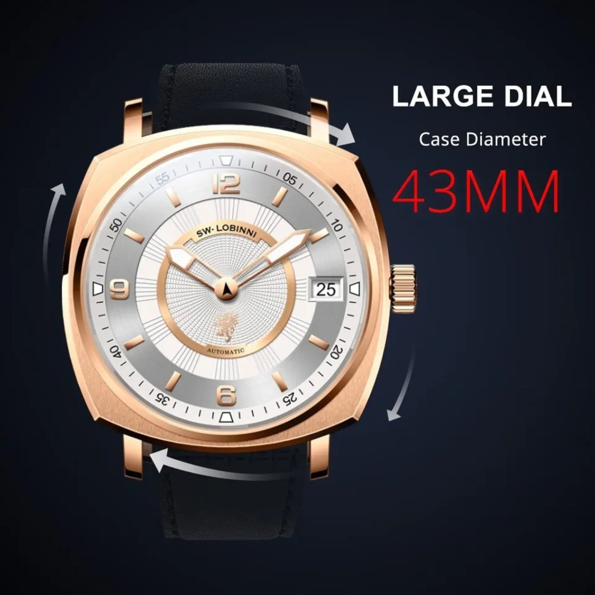 LOBINNI Men Watch,Mens Automatic Watches Fashion Waterproof Mechanical Wristwatches Switzerland Clock Sapphire Top Luxury Brand - DREAM WATCHES