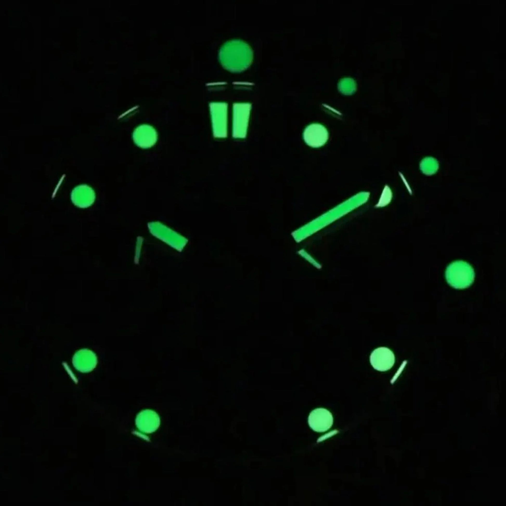 Pagani Design PD-1767 Men's CAL.2C10 Automatic Mechanical Watch 41MM - DREAM WATCHES