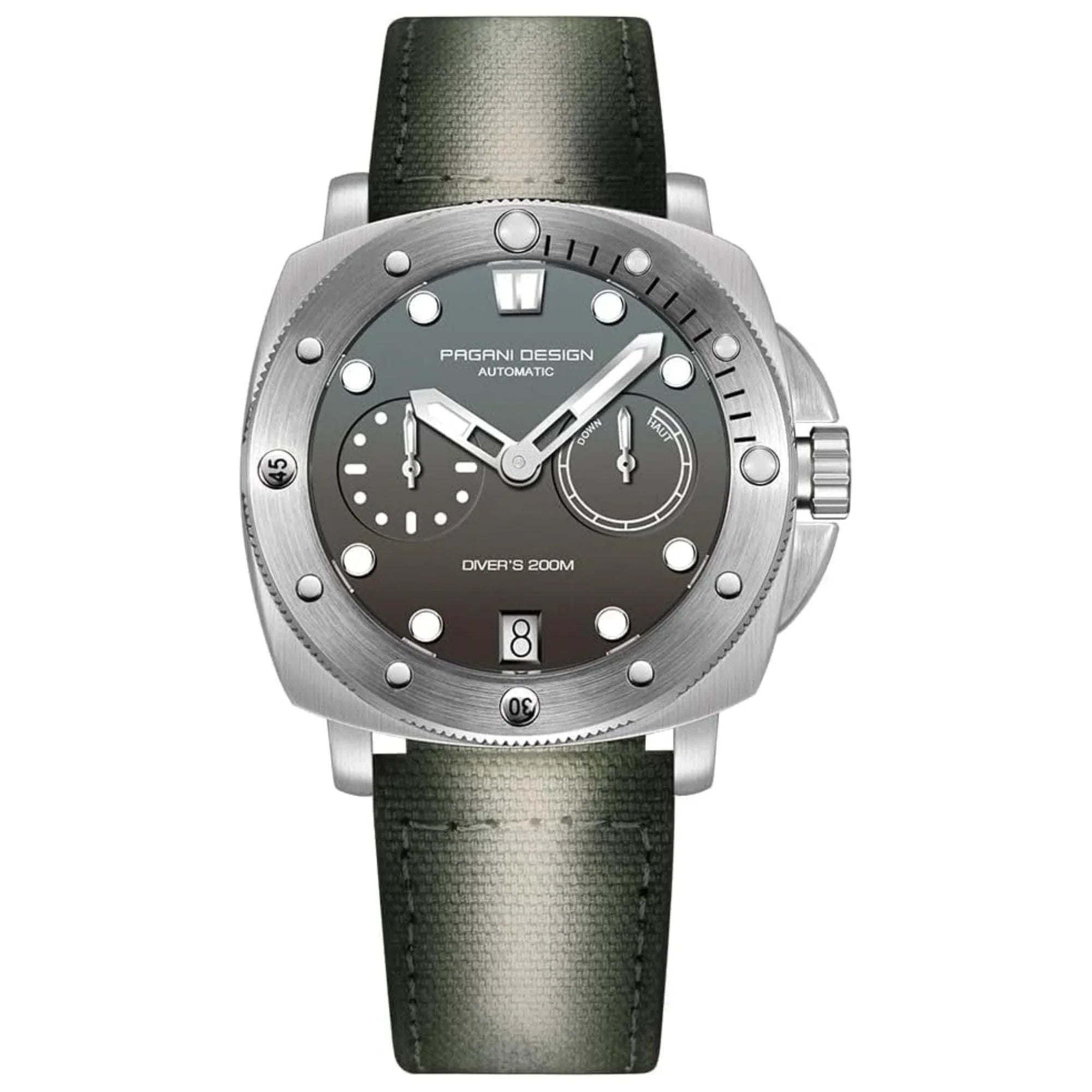 Pagani Design PD-1767 Men's CAL.2C10 Automatic Mechanical Watch 41MM - DREAM WATCHES