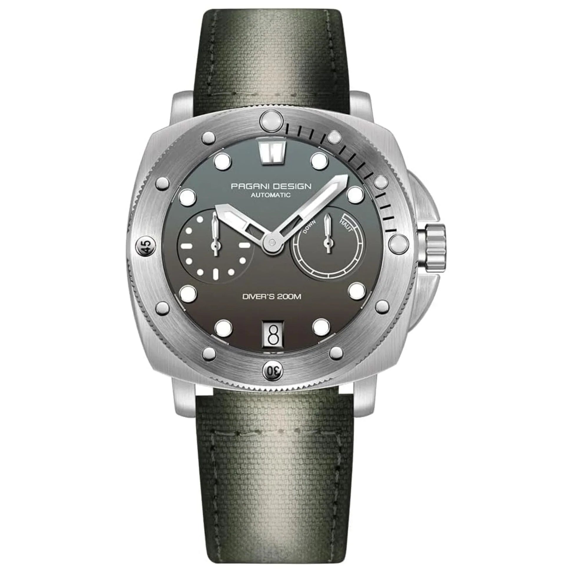 Pagani Design PD-1767 Men's CAL.2C10 Automatic Mechanical Watch 41MM - DREAM WATCHES