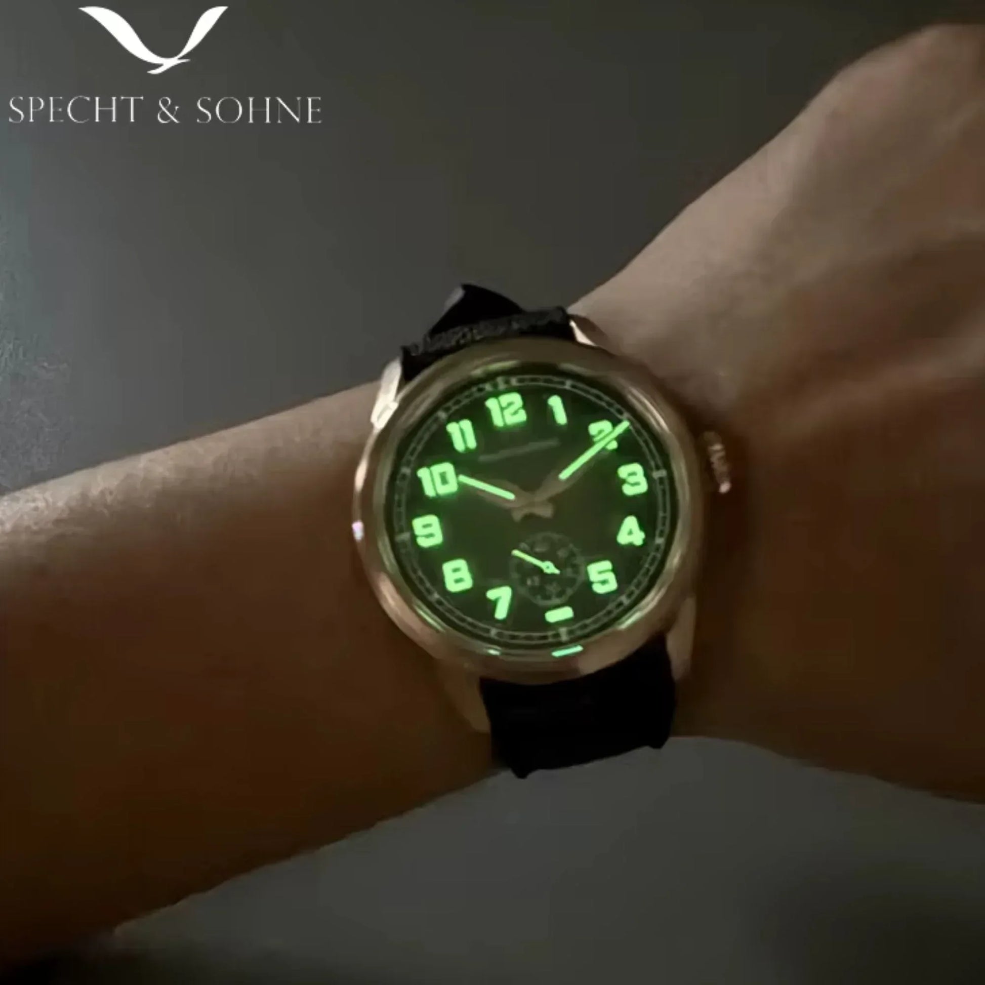 Specht & Söhne Men's Watches Mechanical Watches Japanese C3 Luminous Stainless Steel - SP0027 - DREAM WATCHES