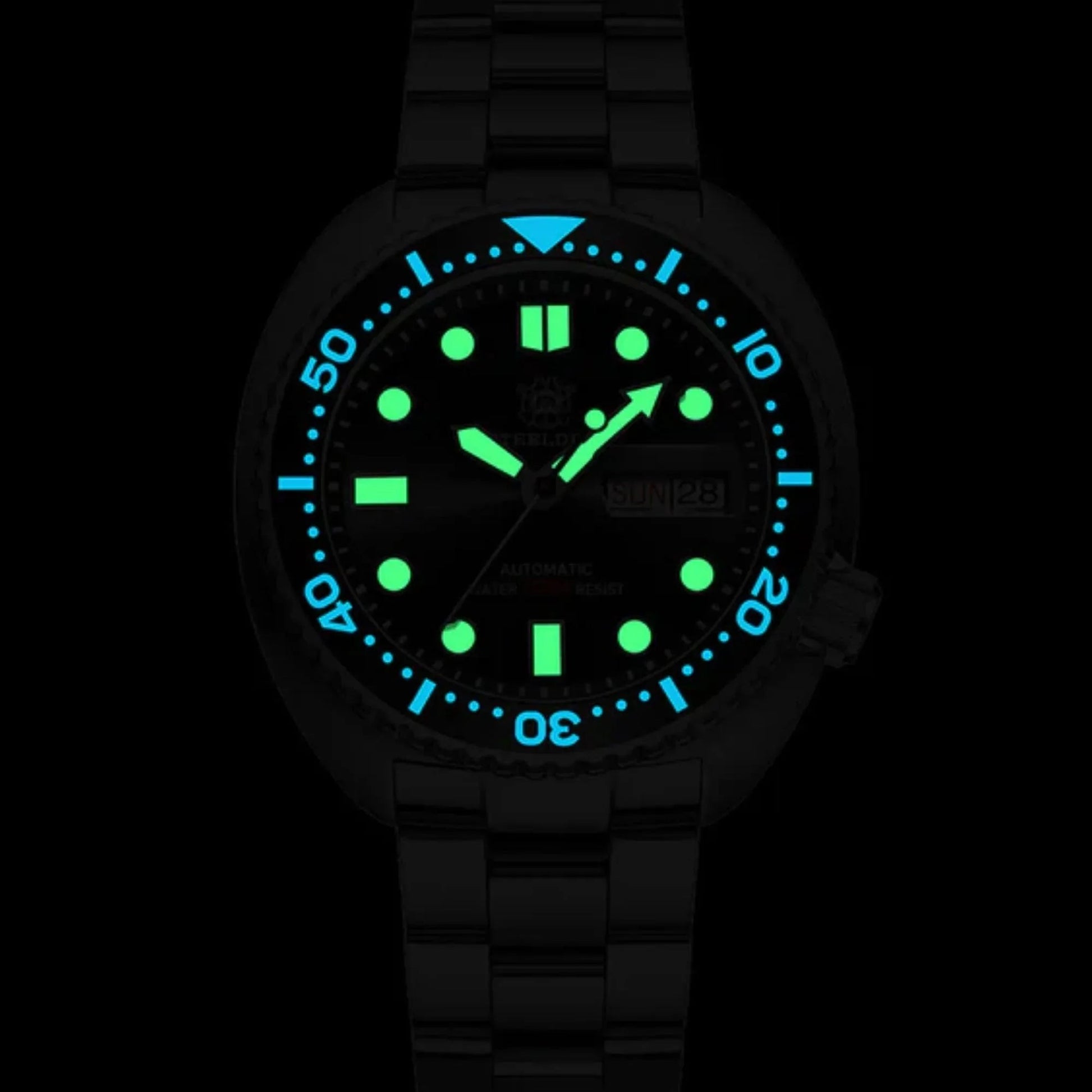 STEELDIVE SD1972 6309 King Turtle Dive Watch V2 - DREAM WATCHES