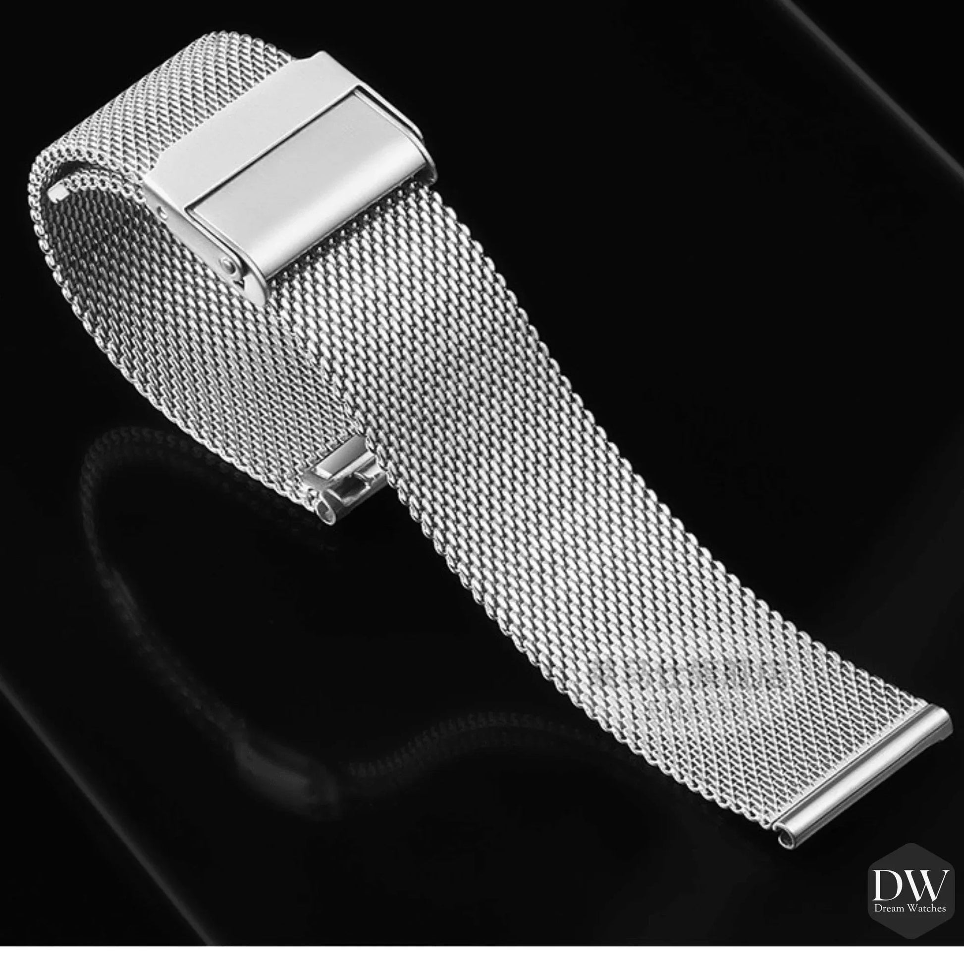 EMRYN Pagani Design Luxury | Polished Stainless Steel (316L) | Steel Mesh Style Bracelet (Silver) - 20 mm - DREAM WATCHES